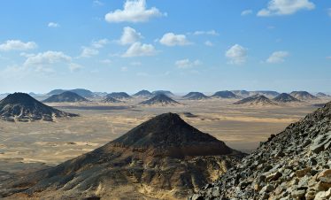 Bahariya Oasis