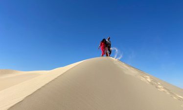 Bahariya Oasis