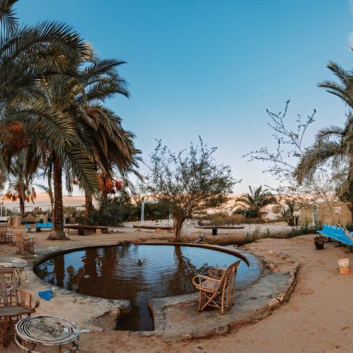 Siwa Oasis Tour
