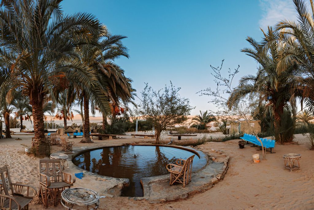 Siwa Oasis Tour