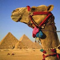 Giza Pyramids and Grand Egyptian Museum tour