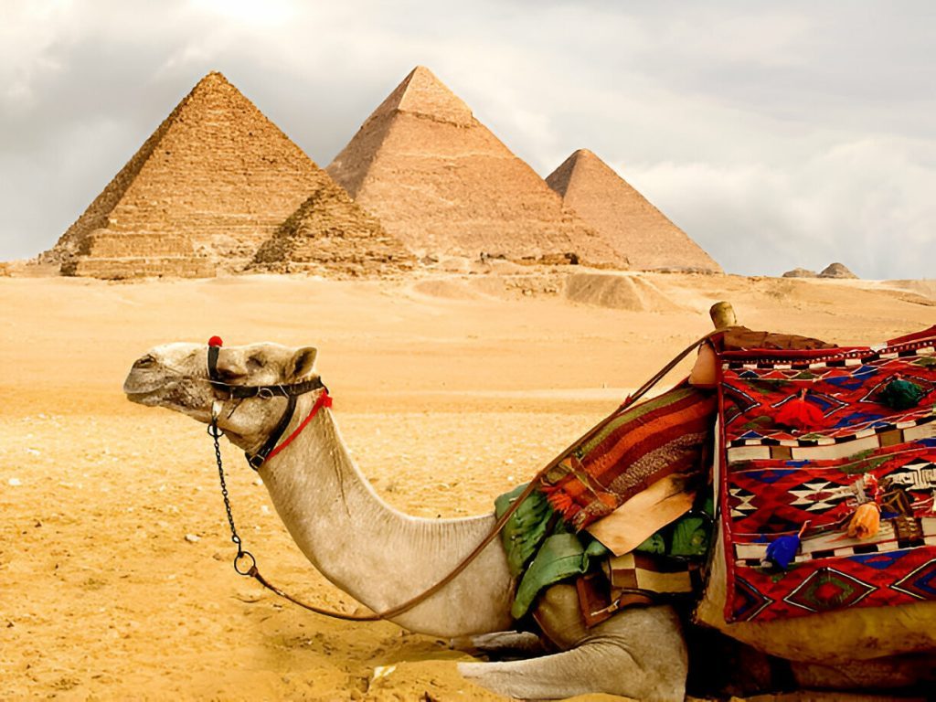 The Pyramids Of Giza and Sphinx
