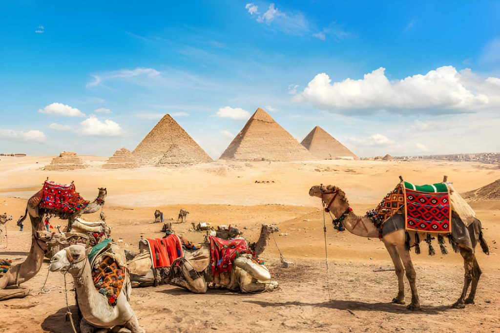 Cairo Tours