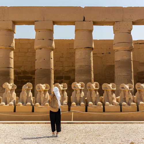 8-Day Egypt Travel Packages | Luxury Nile Cruise | Book Now!