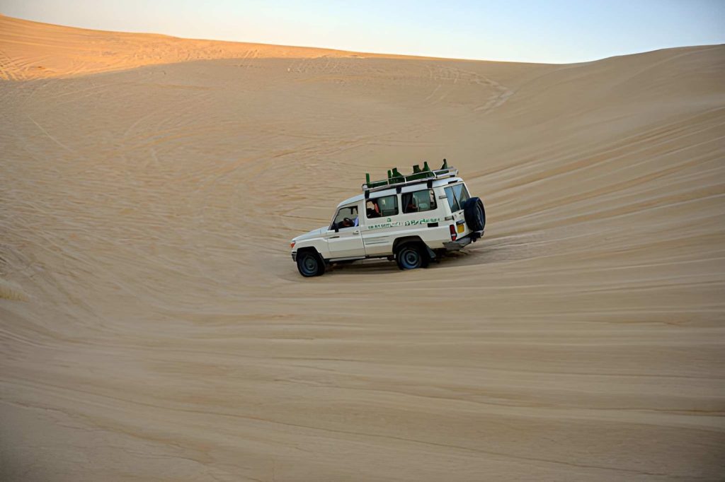 siwa oasis tour​