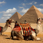 Things to Do in Cairo 2026 | Complete Travel Guide & Tips